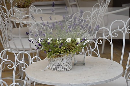 沃税通涉嫌违法 沃税通涉嫌违法