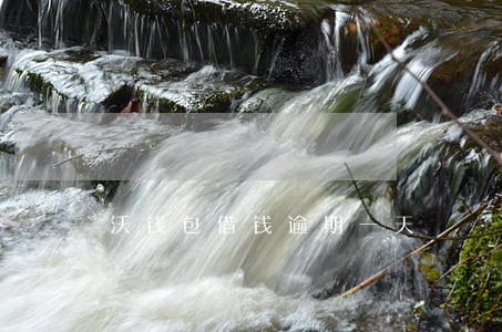 沃钱包借钱逾期一天