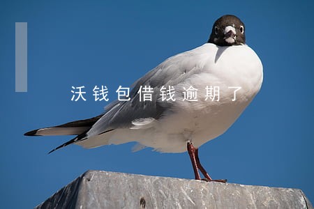 沃钱包借钱逾期了 沃钱包借钱逾期了
