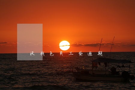 沃钱包员工贷逾期 沃钱包员工贷逾期