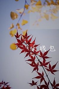 沃钱包易借逾期费 沃钱包易借逾期费