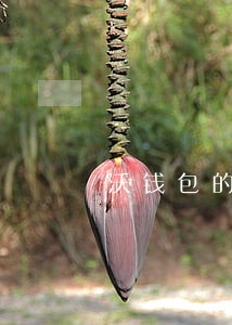 沃钱包的易借逾期一天会怎样 沃钱包的易借逾期一天会怎样