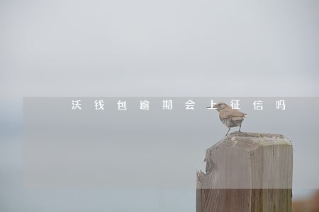 沃钱包逾期会上征信吗