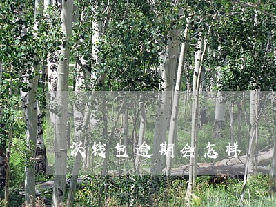 沃钱包逾期会怎样 沃钱包逾期会怎样