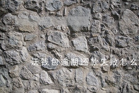 沃钱包逾期还款失败怎么办 沃钱包逾期还款失败怎么办