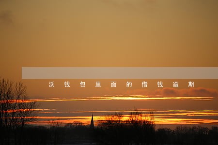 沃钱包里面的借钱逾期 沃钱包里面的借钱逾期