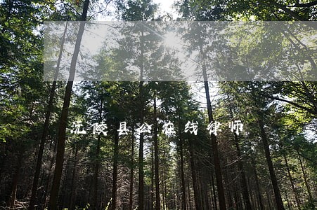 沅陵县公在线律师 沅陵县公在线律师