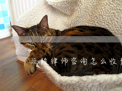 沅陵律师咨询怎么收费 沅陵律师咨询怎么收费