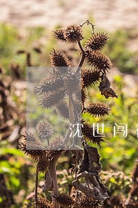 沈世闯律师