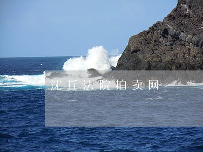 沈丘法院拍卖网 沈丘法院拍卖网