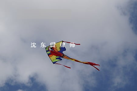 沈东健律师 沈东健律师