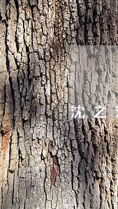 沈之滨律师 沈之滨律师
