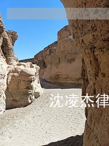 沈凌杰律师 沈凌杰律师