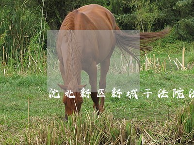 沈北新区新城子法院法警