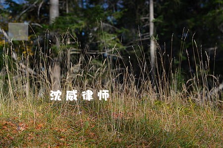 沈威律师 沈威律师