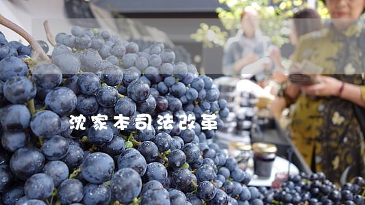 沈家本司法改革
