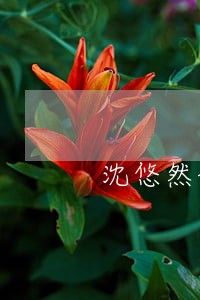 沈悠然说好离婚你别怂