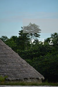 沈河区法院档案室电话