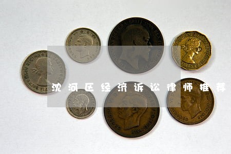 沈河区经济诉讼律师推荐 沈河区经济诉讼律师推荐