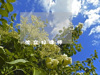 沈立权律师 沈立权律师