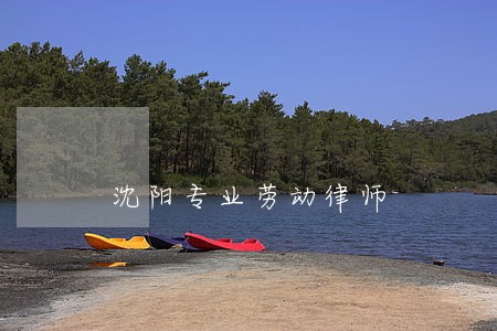 沈阳专业劳动律师 沈阳专业劳动律师