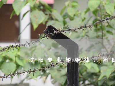 沈阳专业婚姻律师团队 沈阳专业婚姻律师团队