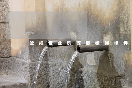 沈阳专业的家庭婚姻律师