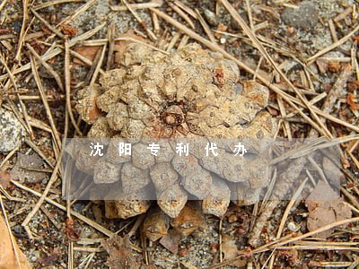 沈阳专利代办 沈阳专利代办