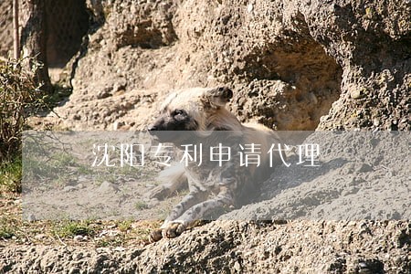 沈阳专利申请代理 沈阳专利申请代理