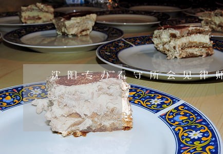 沈阳专办看守所会见律师 沈阳专办看守所会见律师
