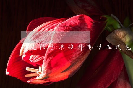沈阳于洪律师电话在线免费咨询 沈阳于洪律师电话在线免费咨询