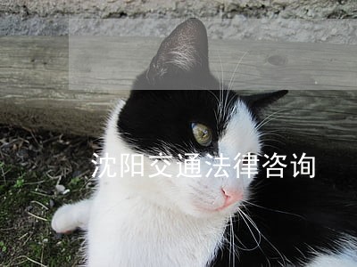沈阳交通法律咨询