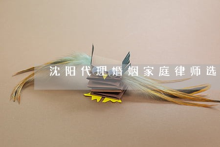 沈阳代理婚姻家庭律师选哪个 沈阳代理婚姻家庭律师选哪个