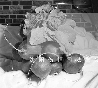 沈阳伤情司法鉴定中心 沈阳伤情司法鉴定中心