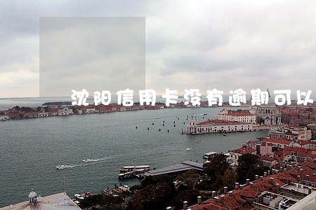 沈阳信用卡没有逾期可以协商吗 沈阳信用卡没有逾期可以协商吗