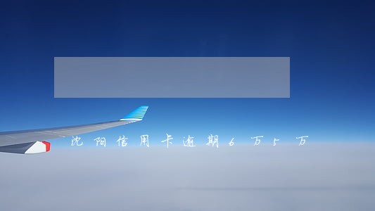 沈阳信用卡逾期6万5万 沈阳信用卡逾期6万5万