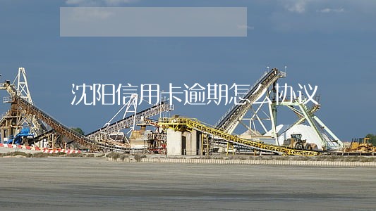 沈阳信用卡逾期怎么协议 沈阳信用卡逾期怎么协议
