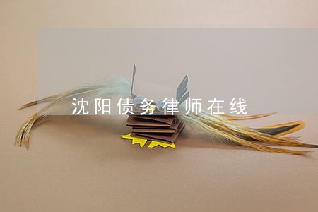 沈阳债务律师在线 沈阳债务律师在线