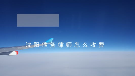 沈阳债务律师怎么收费 沈阳债务律师怎么收费