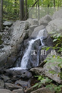 沈阳债务案咨询律师如何委托 沈阳债务案咨询律师如何委托