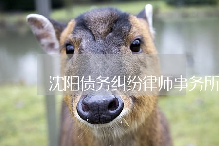 沈阳债务纠纷律师事务所电话 沈阳债务纠纷律师事务所电话