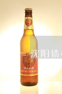 沈阳债权债务专业律师 沈阳债权债务专业律师
