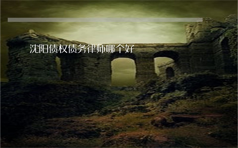 沈阳债权债务律师哪个好