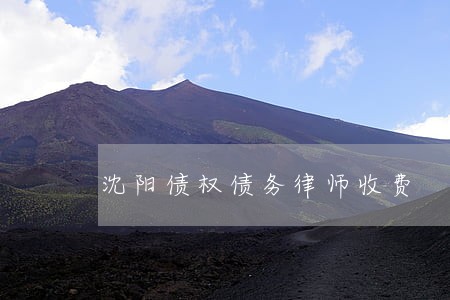 沈阳债权债务律师收费 沈阳债权债务律师收费
