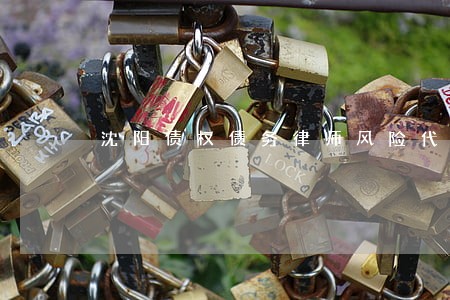 沈阳债权债务律师风险代理 沈阳债权债务律师风险代理