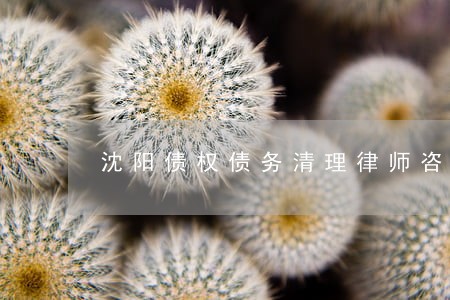 沈阳债权债务清理律师咨询电话 沈阳债权债务清理律师咨询电话