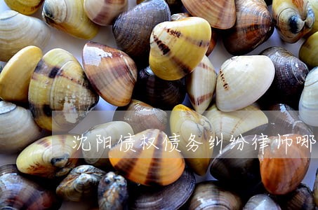 沈阳债权债务纠纷律师哪家强 沈阳债权债务纠纷律师哪家强