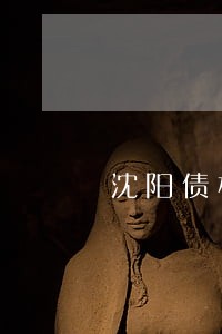 沈阳债权债务纠纷律师在线咨询 沈阳债权债务纠纷律师在线咨询