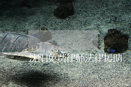 沈阳免费律师法律援助 沈阳免费律师法律援助