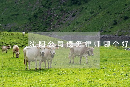沈阳公司债务律师哪个好 沈阳公司债务律师哪个好